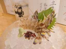 夢ごりら