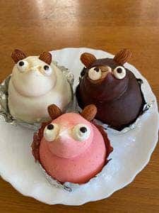 ハレルヤ 本社工場直売店