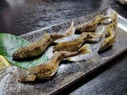 いっぷく居酒屋 わ田ちゃん