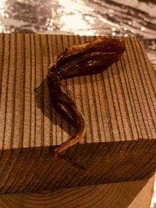 Restaurant Yoshi's High