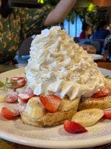 コナズ珈琲 宮崎