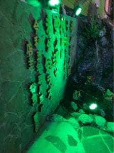 江戸前手打ち かえる蕎麦