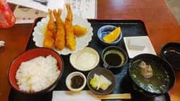 円芯
