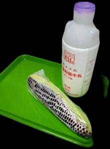 清里ミルクプラント