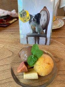 CAFE de MIMI