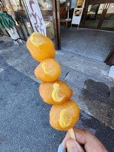 ぶな茶屋 道の駅 白い森おぐに