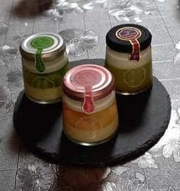 道の駅 茶の里東白川