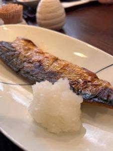 やまかわ