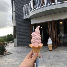 バラの城 フローラ