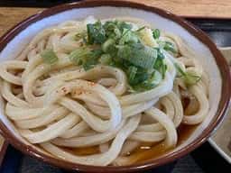 うつ海うどん