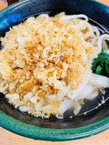 関西風手打ちうどん いらっしゃい