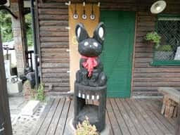 音猫