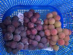 ハーブワールドAKITA レストラン