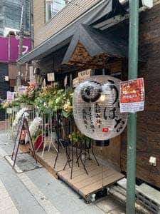 兎の花