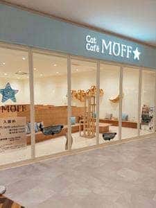 CatCafeMOFFイオンモール豊川店