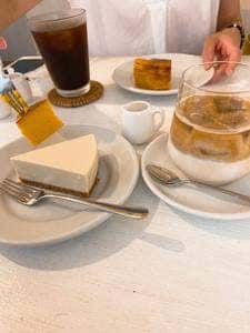 White birch coffee