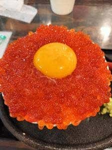 お魚食堂こたや