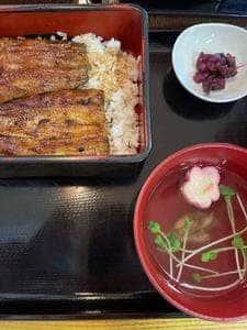 うなぎ 都川
