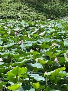 九段食堂