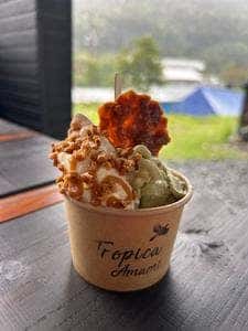 あまみん&Tropica Amami