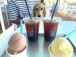PISMOBLUE CAFE