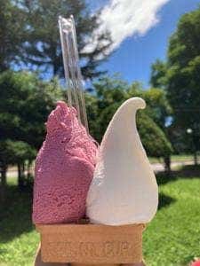 ウエモンズハート