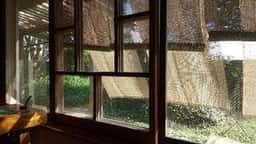 えんのお菓子屋さん