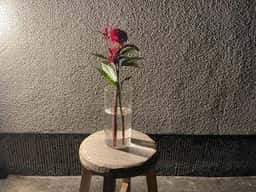 ＆cafe