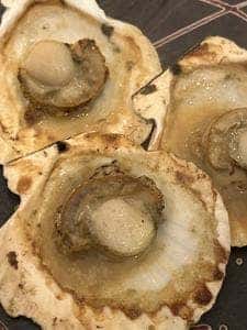 熱海ミニ横丁