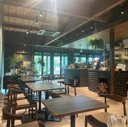 Tripot cafe THE PARK