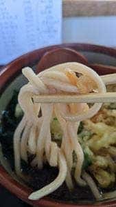 さんさろうどん