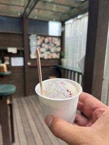 Hilo Homemade Ice Cream