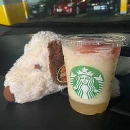 スターバックス コーヒー ららぽーとEXPOCITY 1階店
