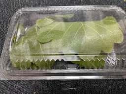 日乃出庵