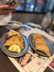 SAPPORO餃子製造所 狸小路店