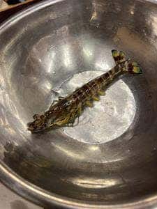 海鮮茶屋・貝族料理 みのしょう