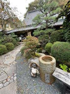 志野 松門