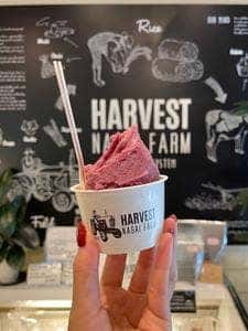 HARVEST NAGAI FARM 軽井沢店
