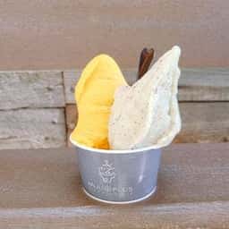 アンジュプラス