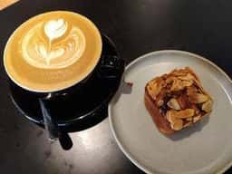SLOTH COFFEE ROASTERS