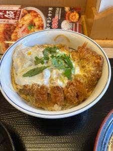 かつや 愛知日進店