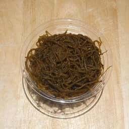 分 根津松本 鈴