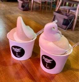 ベイラウンジコーヒー