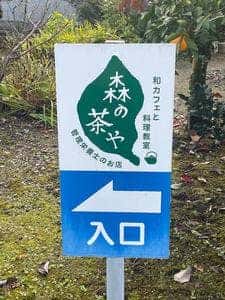 森の茶や