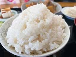 もつ煮 三島まるのぶ