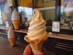 道の駅 すごう