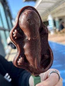 かいじゅうカフェ 京都水族館