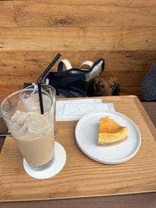 cafe kokope