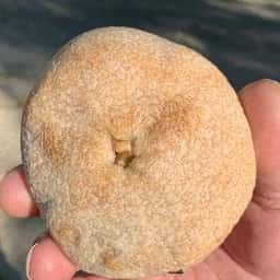 かまどの火