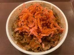 すき家 名古屋栄生店